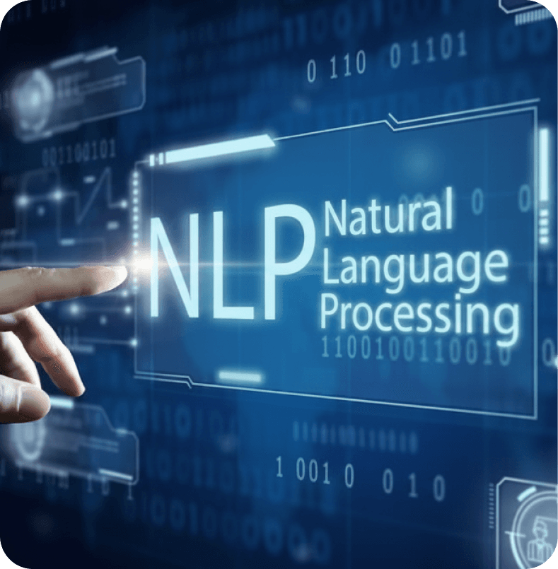 Natural Language Processing (NLP)