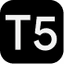 T5