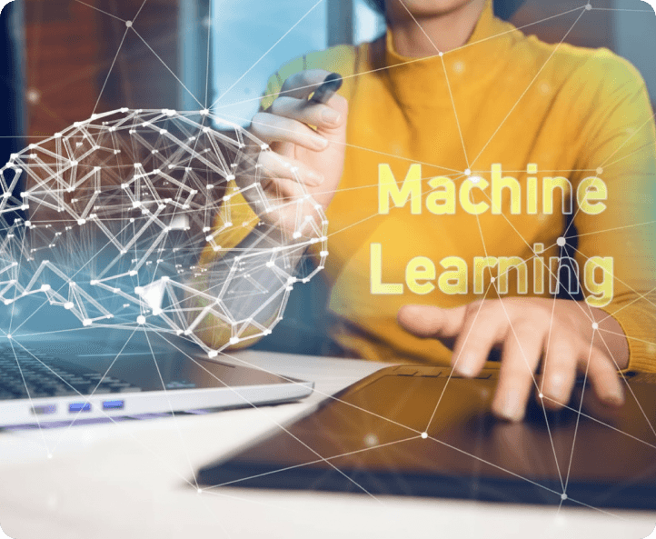 Machine Learning as a Service (MLaaS)