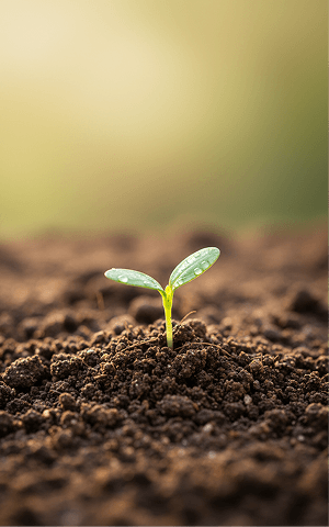 Continuous Growth Core Value