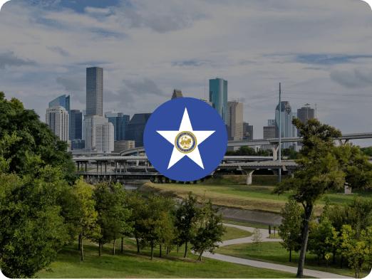 Hire AI Developer in Houston