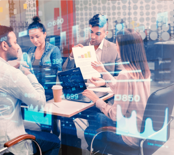 Software Consulting