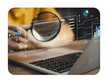 Data Discovery
