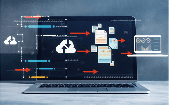 Ecommerce Software Development