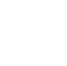 Experience Badge