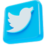 Social icon 4