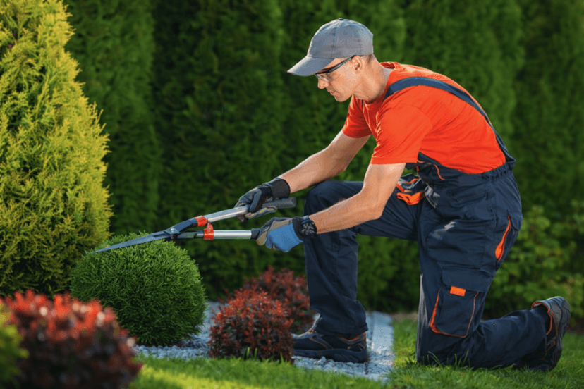 Lawn & Garden service
