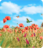 Sky Flowers
